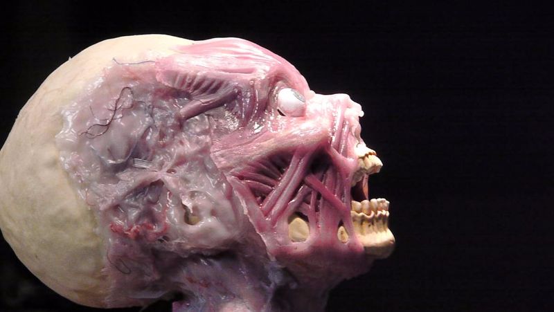 bowsie workshop the cherry tree prosthetic sfx make up