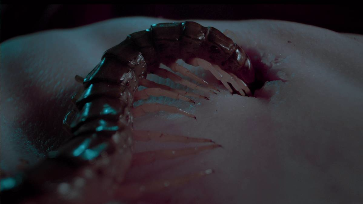giant centipede prosthetic