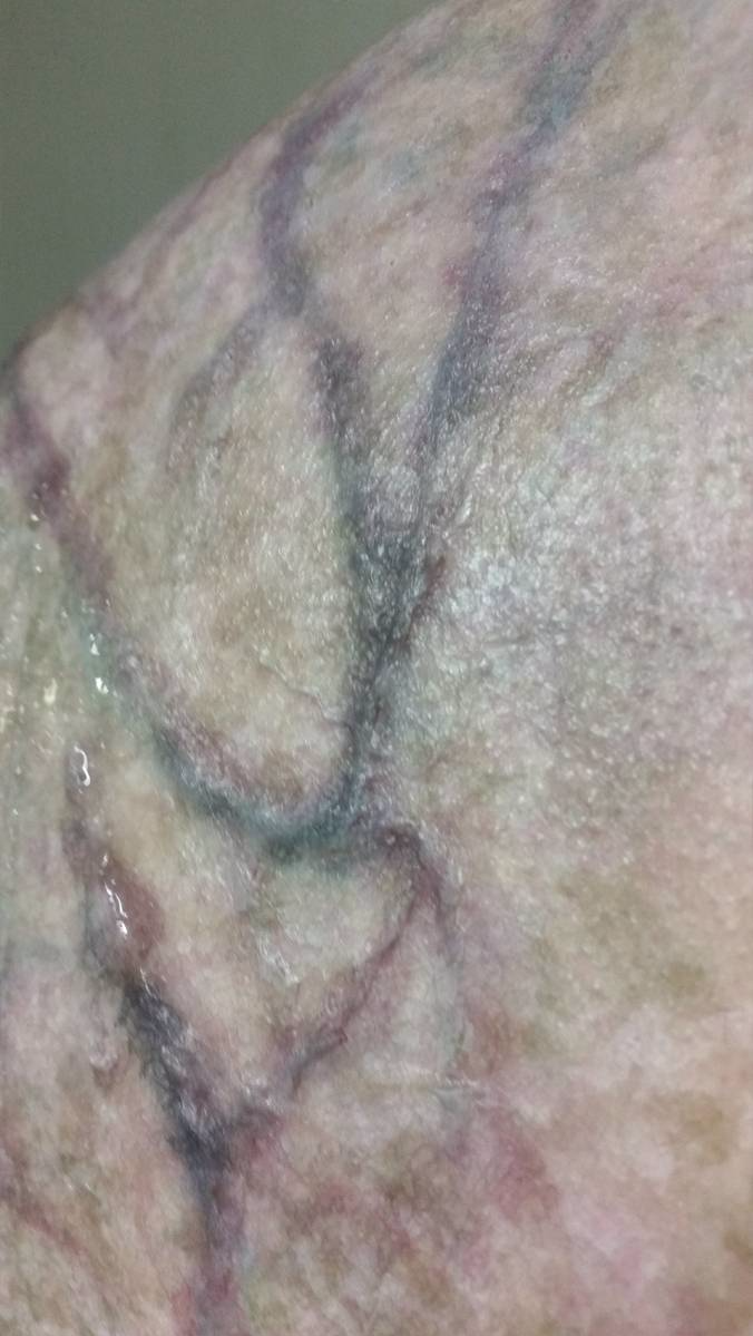 the lodgers prosthetic sfx make up veins design 