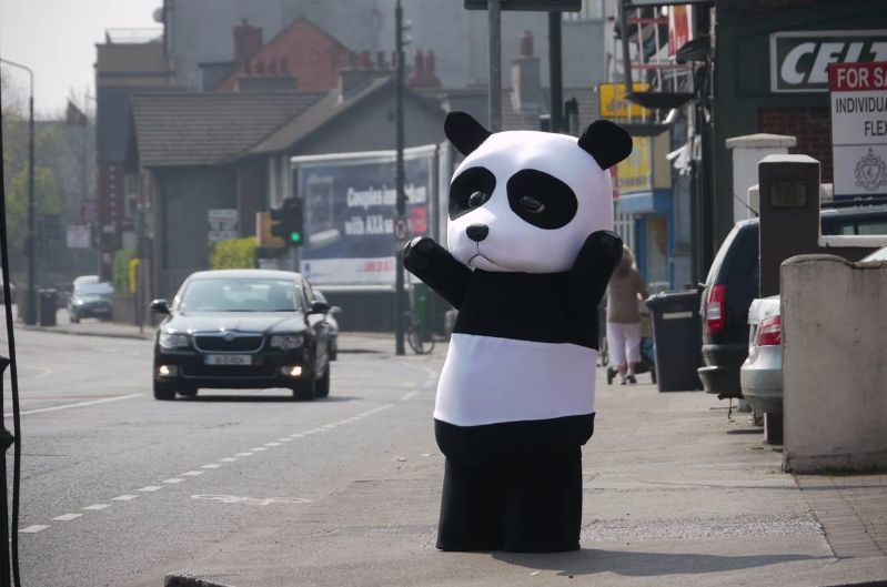 panda costume