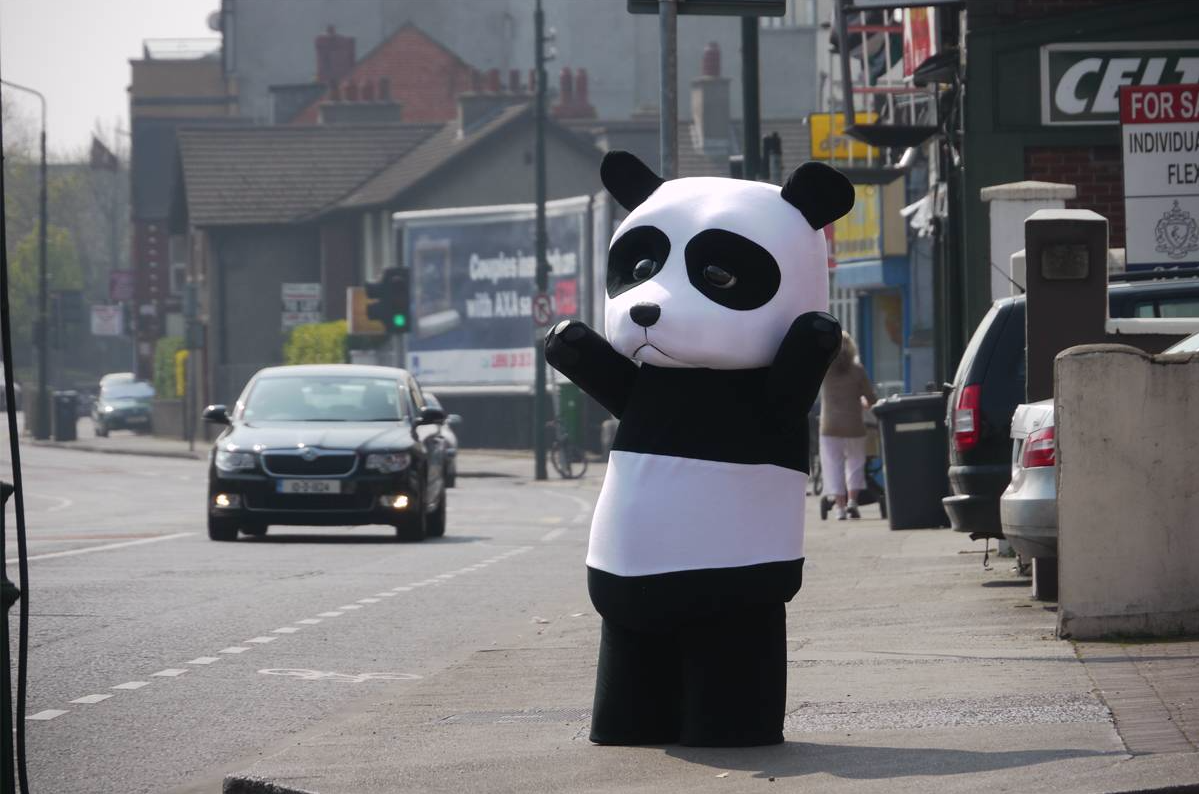 panda costume