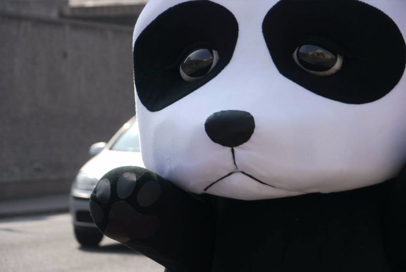 panda costume