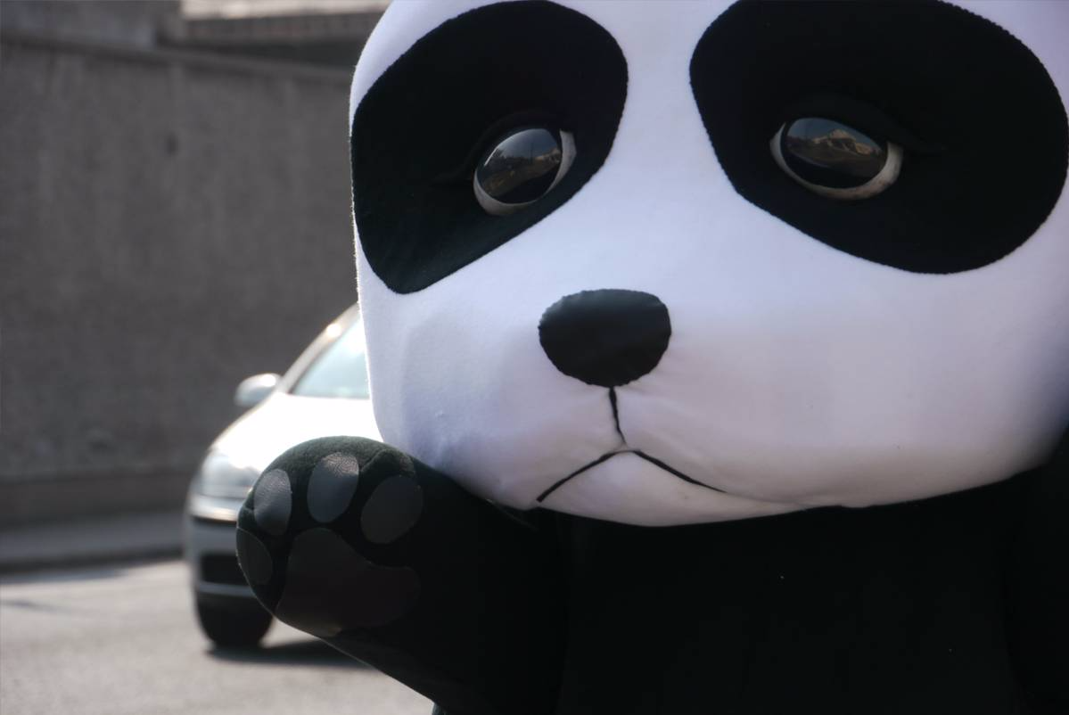 panda costume