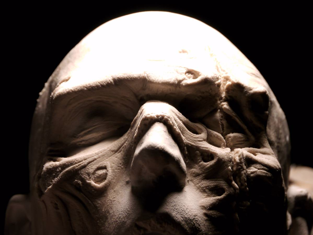 stitches clay prosthetic sfx make up prosthetic