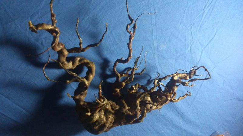bowsie workshop root baby the hallow
